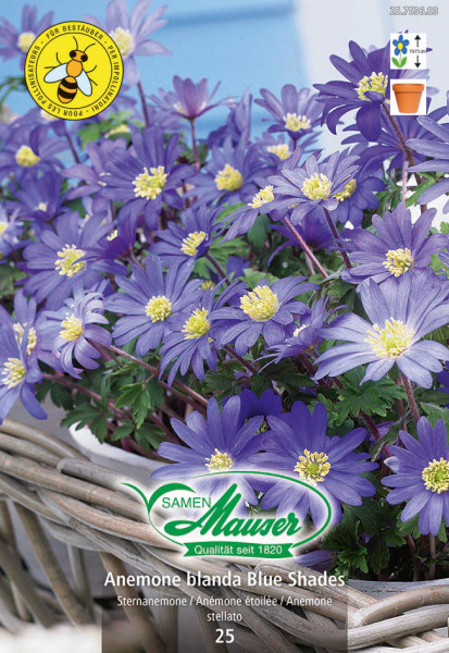 Blue Shades, Anémones blanda, 20 bulbes - Bulbes à fleurs automne / -  Samen-Mauser