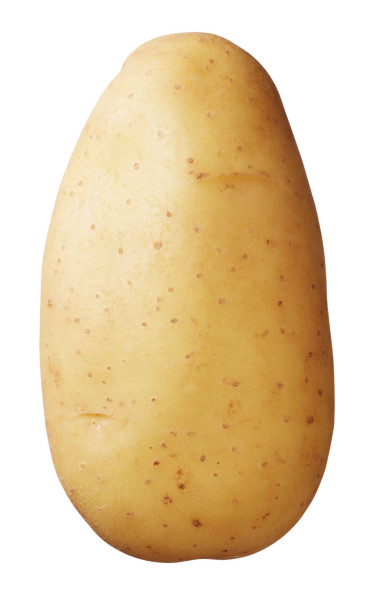 Semenceaux de pommes de terre Bio ’Erika’ 1 kg