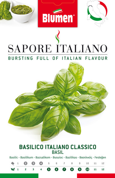 Basilic Italiano Classico