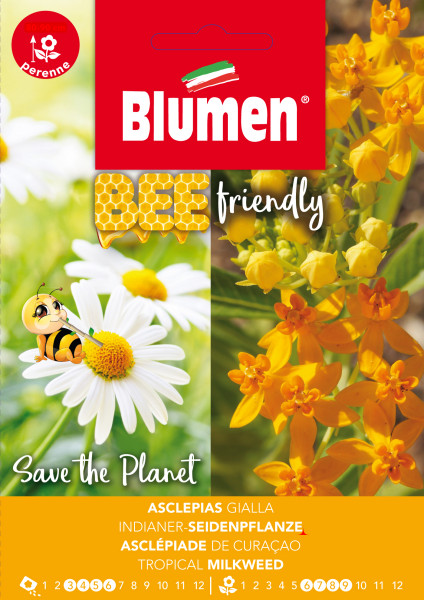 Gelbblühende Seidenpflanze, Beefriendly