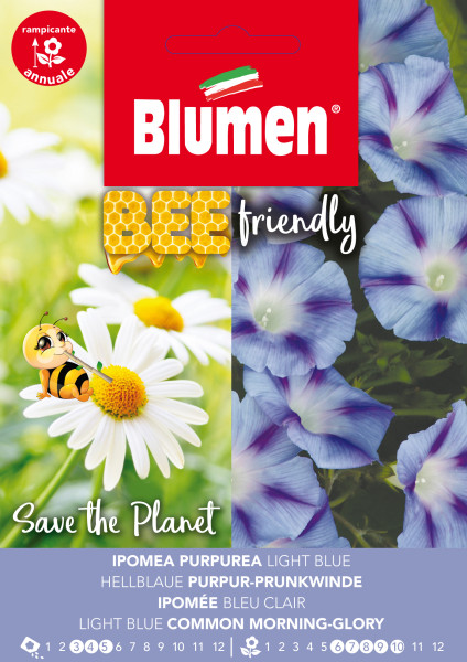 Hellblaue Purpur-Prunkwinde, Beefriendly