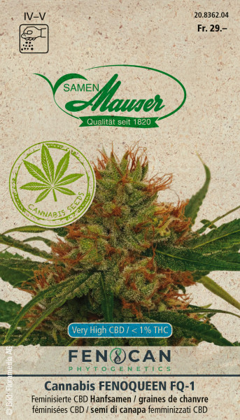 Cannabis Hanf Fenoqueen - Blumensamen / Einjährige Pflanzen - Samen-Mauser