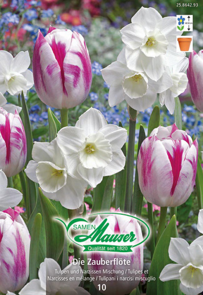 Die Zauberflöte - Mélange de tulipes et de narcisses, 10 bulbes - Bulbes à  fleurs automne / Tulipes - Samen-Mauser