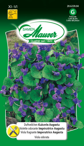 Violette odorante, Impératrice Augusta - Graines de fleurs / Plantes  vivaces - Samen-Mauser