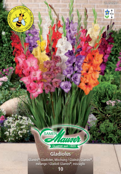 Gladiolus Glamini® Mix