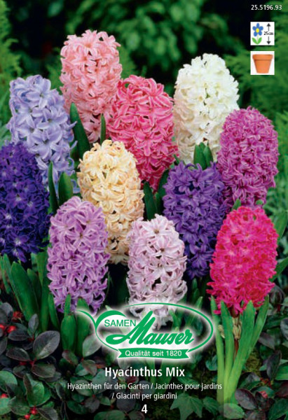 Fleurs à bulbes - Jardiner Malin : jardinage et recettes de saison