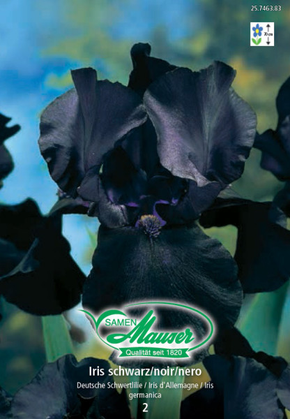 Iris germanica schwarz, 2 Knollen