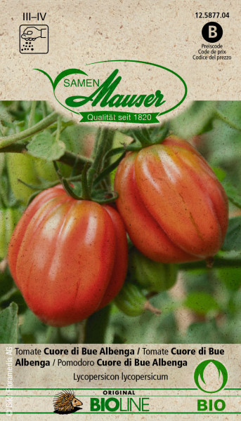 Tomate Cuore di Bue Albenga