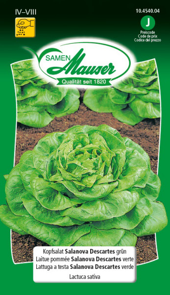 Kopfsalat Salanova Descarte grün