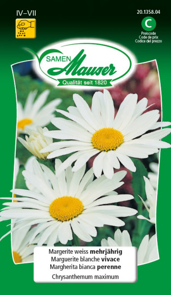Marguerite blanche vivace - Graines de fleurs / Plantes vivaces -  Samen-Mauser