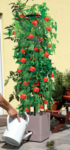 Pot à tomates Maxitom anthracite
