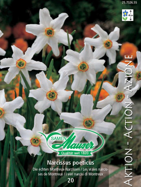La véritable Narcisse de Montreux, 20 bulbes - Bulbes à fleurs automne /  Narcisses - Samen-Mauser