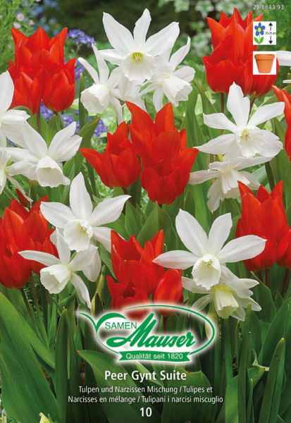 Peer Gynt Suite - Mélange de tulipes et narcisses, 10 bulbes - Bulbes à  fleurs automne / Tulipes - Samen-Mauser