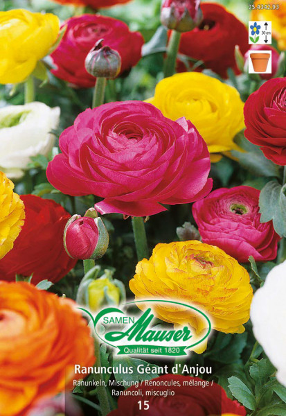 Renoncules mélange - Bulbes à fleurs printemps / Spécialités - Samen-Mauser