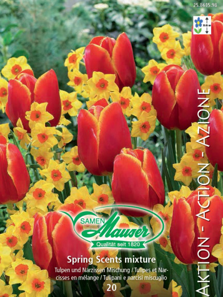 Spring Scents - Mischung Tulpen und Narzissen, 20 Zwiebeln
