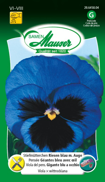Pensée Géantes bleu avec oeil - Graines de fleurs / Plantes bisannuelles -  Samen-Mauser