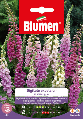 Digitale Excelsior mélange Blumen