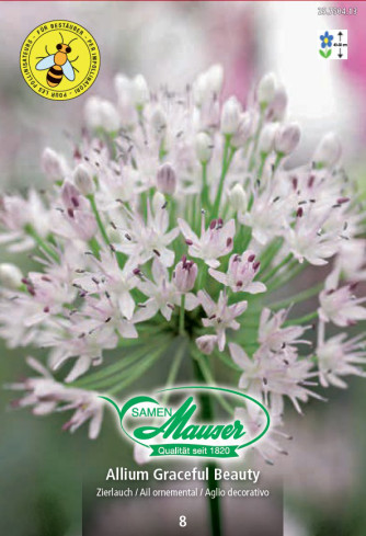 Allium, Zierlauch Graceful Beauty, 8 Zwiebeln