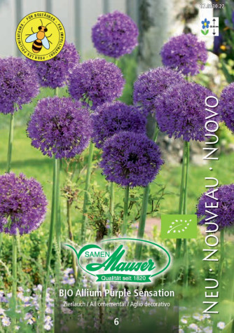 BIO Allium Purple Sensation, 6 bulbes