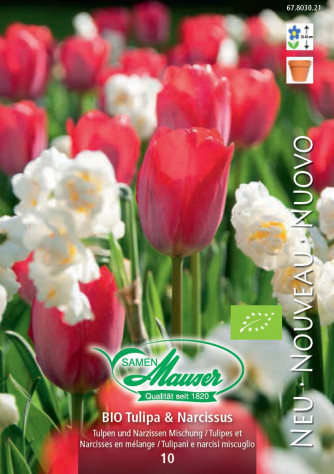 BIO Mélange de tulipes et de narcisses, 10 bulbes