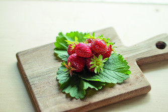Erdbeeren GARIGUETTE, einmaltragend, 4er Tray
