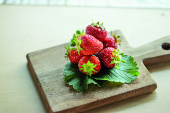 Erdbeeren THURIGA, einmaltragend, 4er Tray