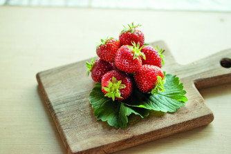 Erdbeere THUTOP, einmaltragend, 4er Tray