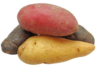 Pommes de terre Tricolore