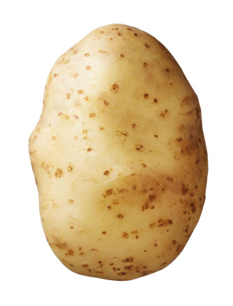 Semenceaux de pommes de terre ’Bintje’ 2,5 kg