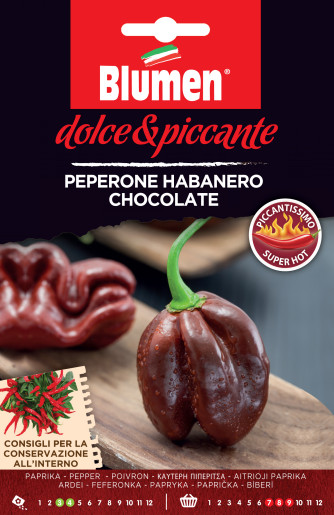 Chili Habanero Chocolate