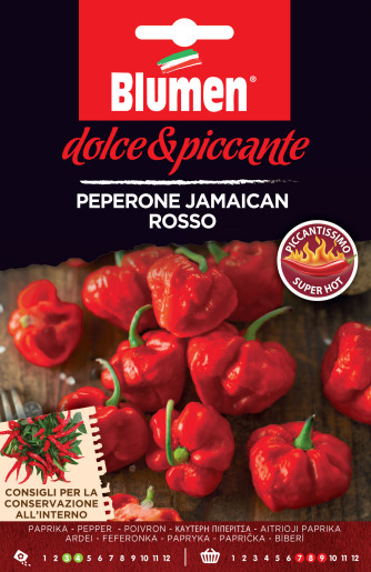 Paprika Jamaican rosso