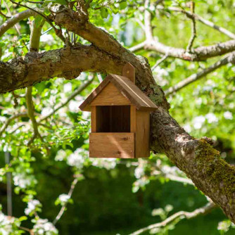 Premier Robin Nest Box