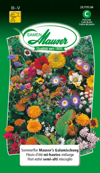Sommerflor Mauser’s Galamischung