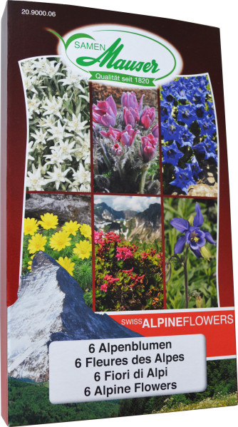 Swiss Alpine Flowers